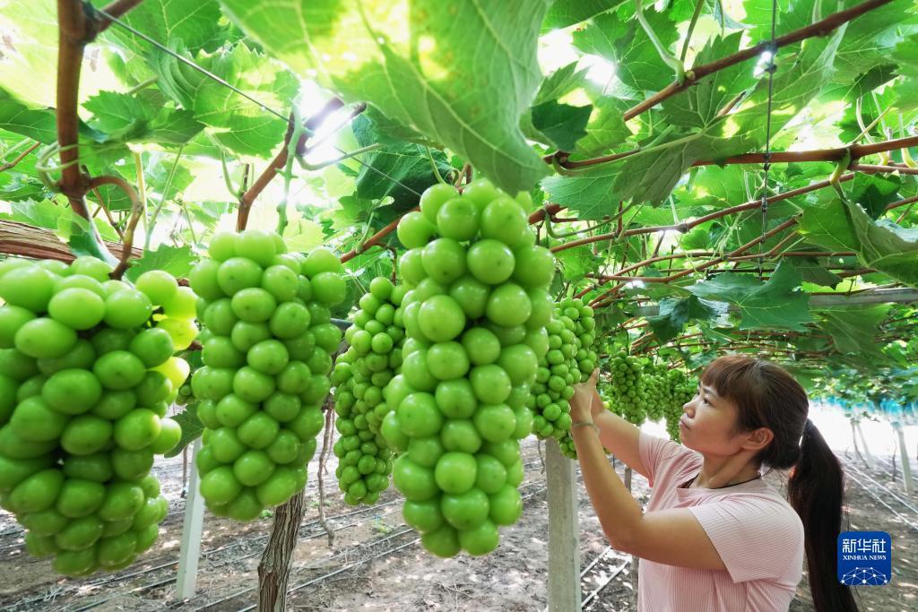 申慱官方